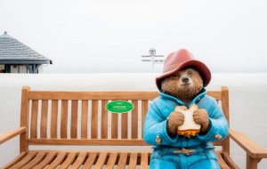 Paddington Bear sitting on a bench