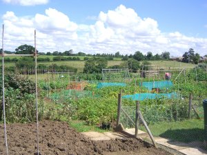 allotments